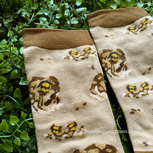 Socks | Desert rain frog