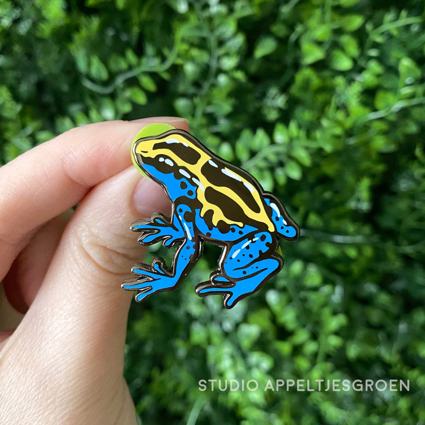 Enamel pin | Dyeing Poison Dart Frog