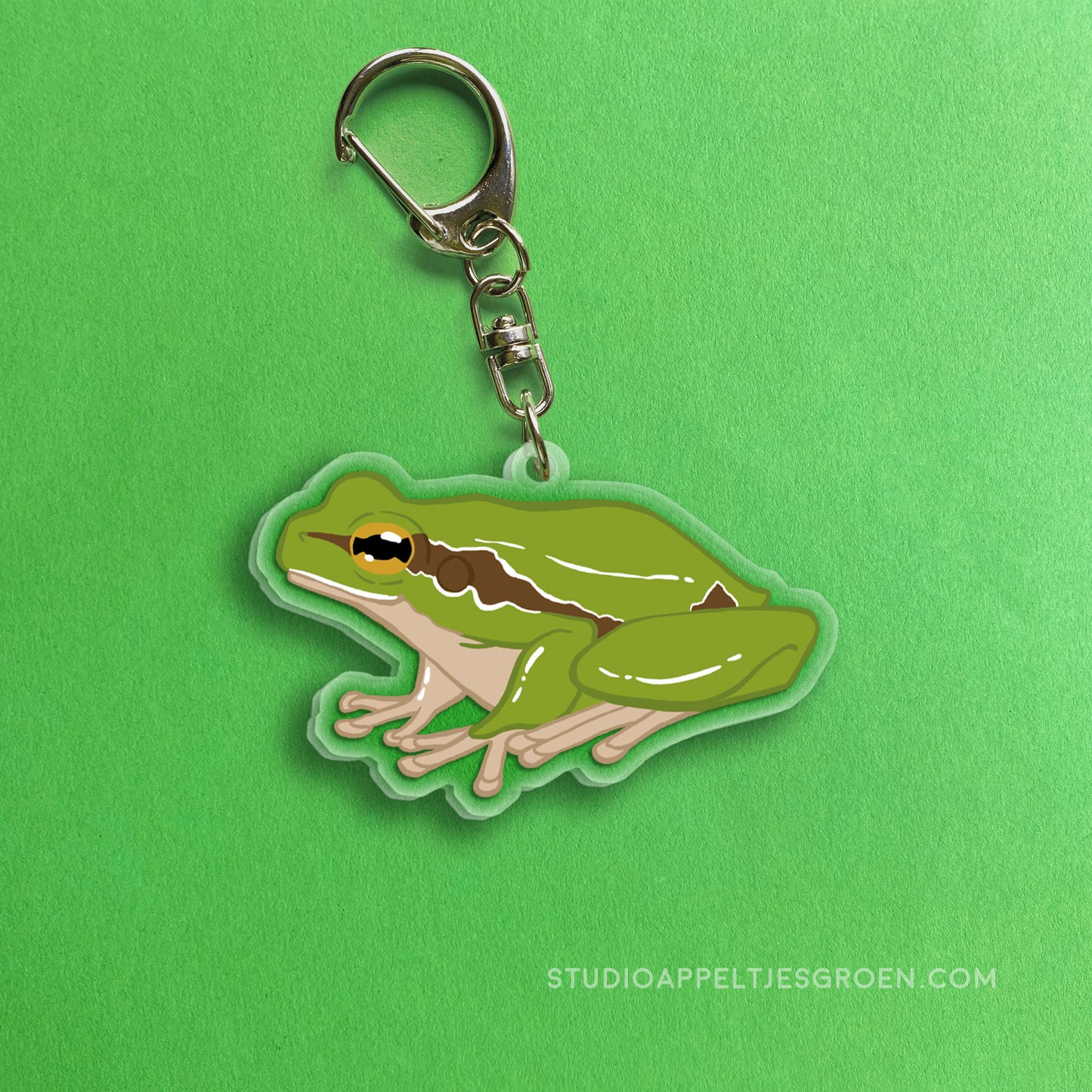 Acrylic charm | European green tree frog