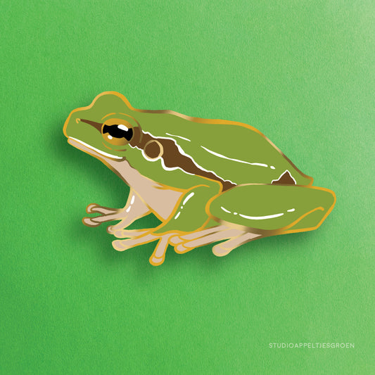 Enamel pin | European Green Tree Frog