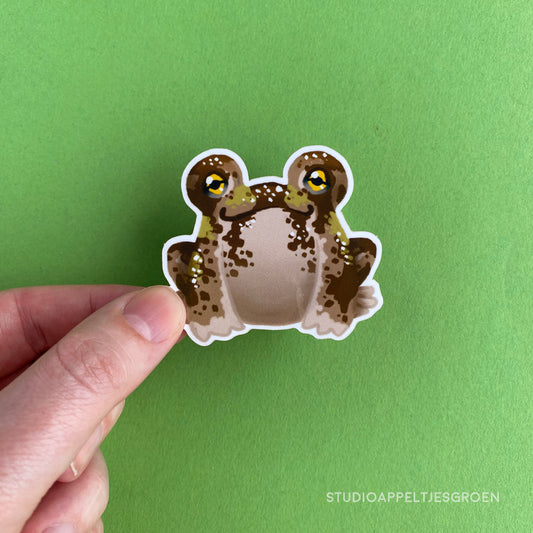 Vinyl sticker | Desert rain frog