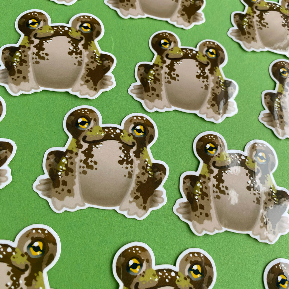 Vinyl sticker | Desert rain frog