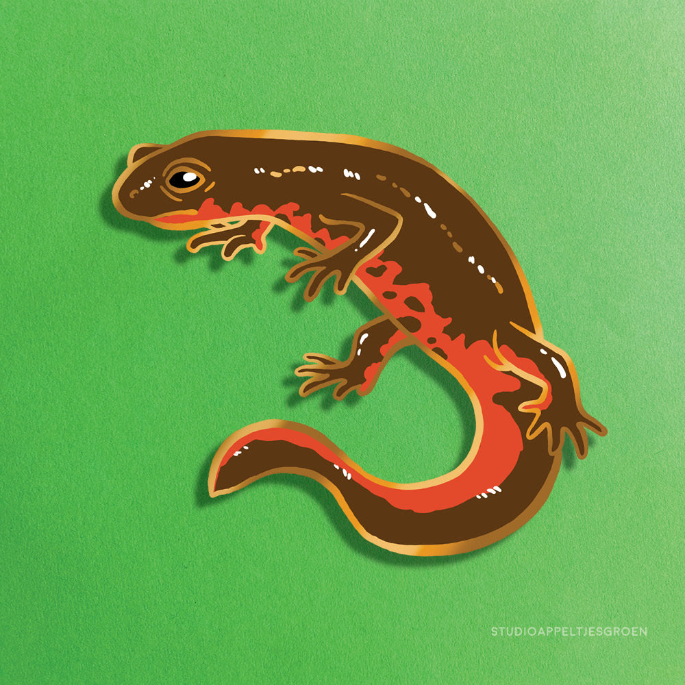 Enamel pin | Japanese Fire-Bellied Newt