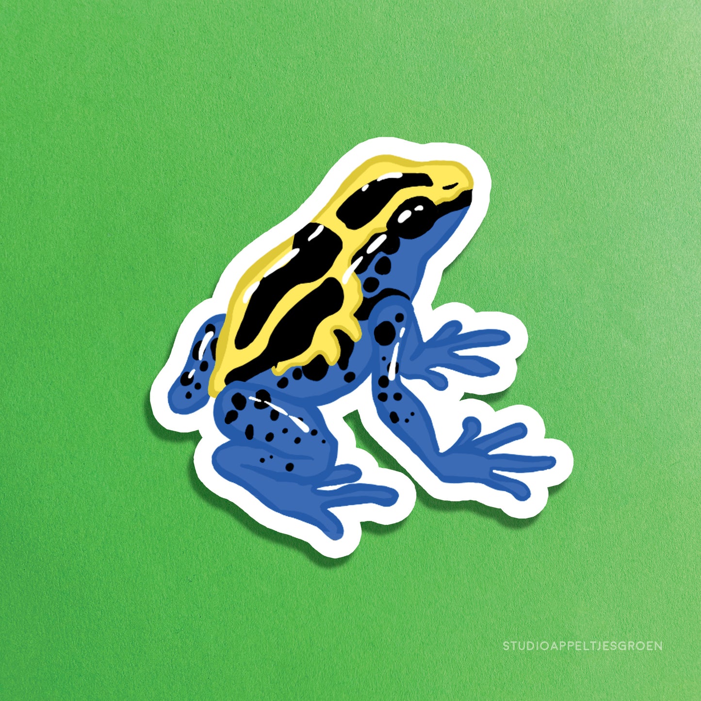 Magnet | Dyeing poison dart frog