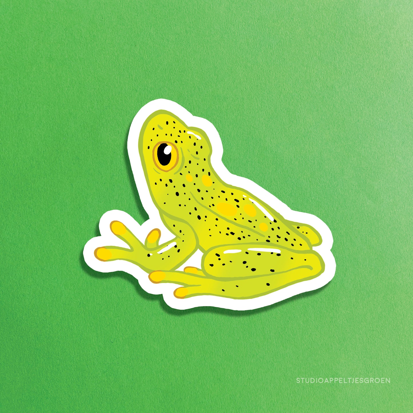 Magnet | Northern glass frog