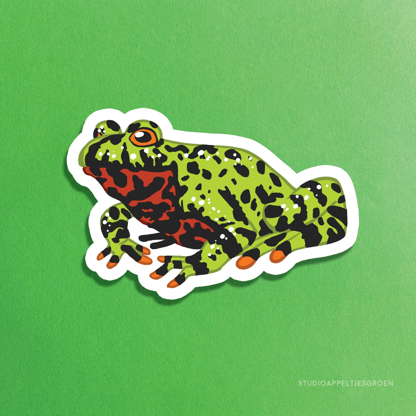 Magnet | Red-bellied toad
