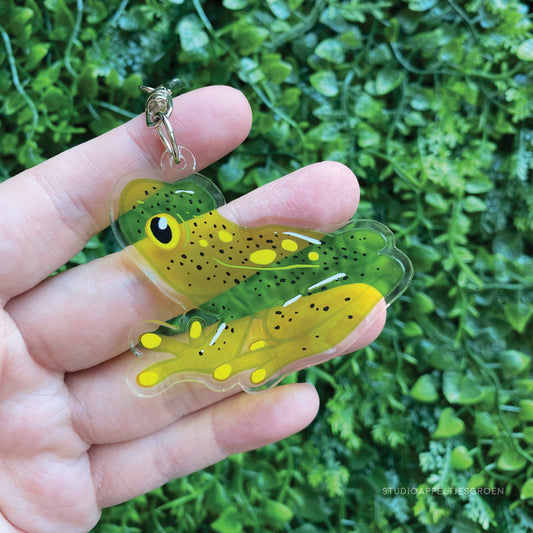 Acrylic charm | Northern glass frog