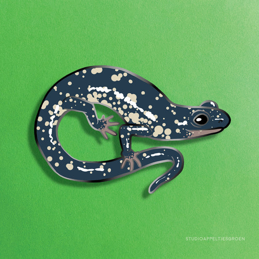Enamel pin | Northern Slimy Salamander