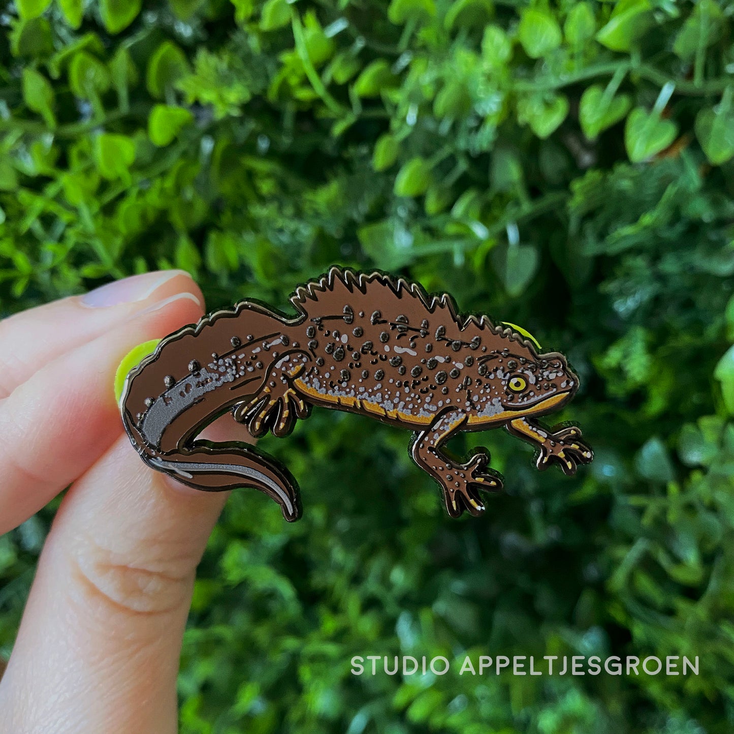 Enamel pin | Great Crested Newt