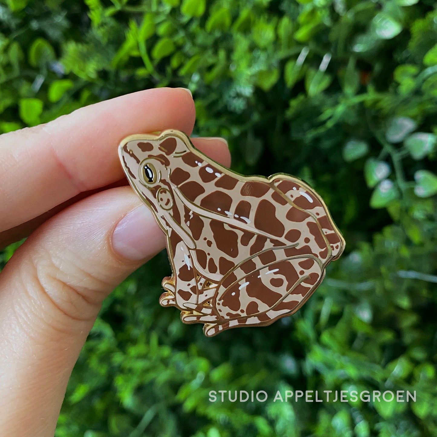 Enamel pin | Pickerel Frog