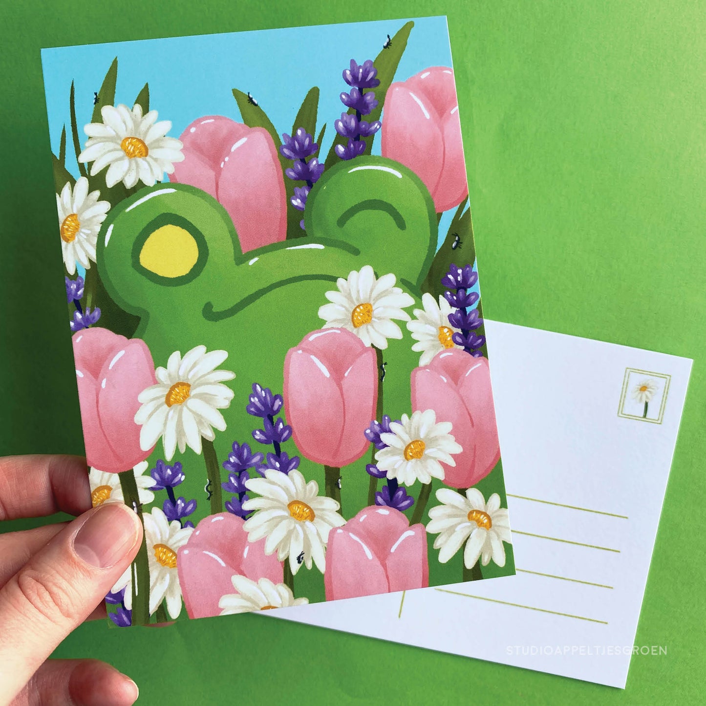 Postcard | Flower field frog