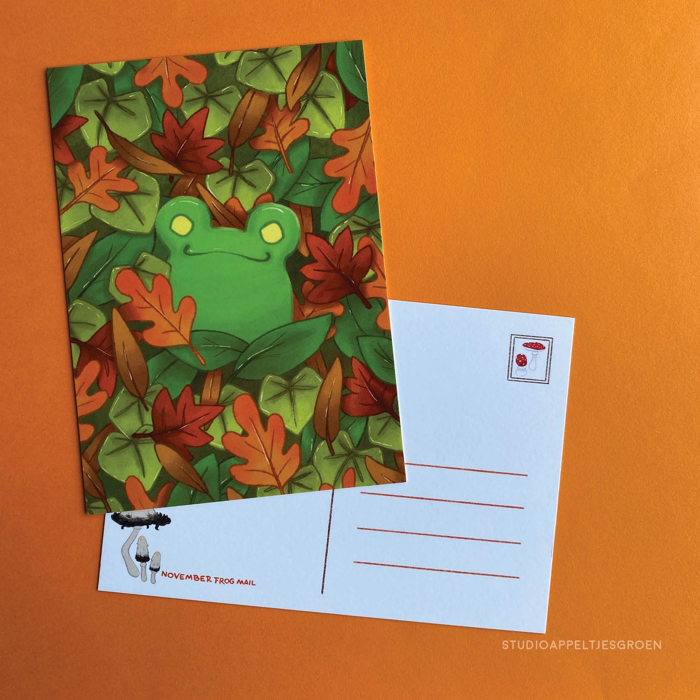 Postcard | Fall leaves frog