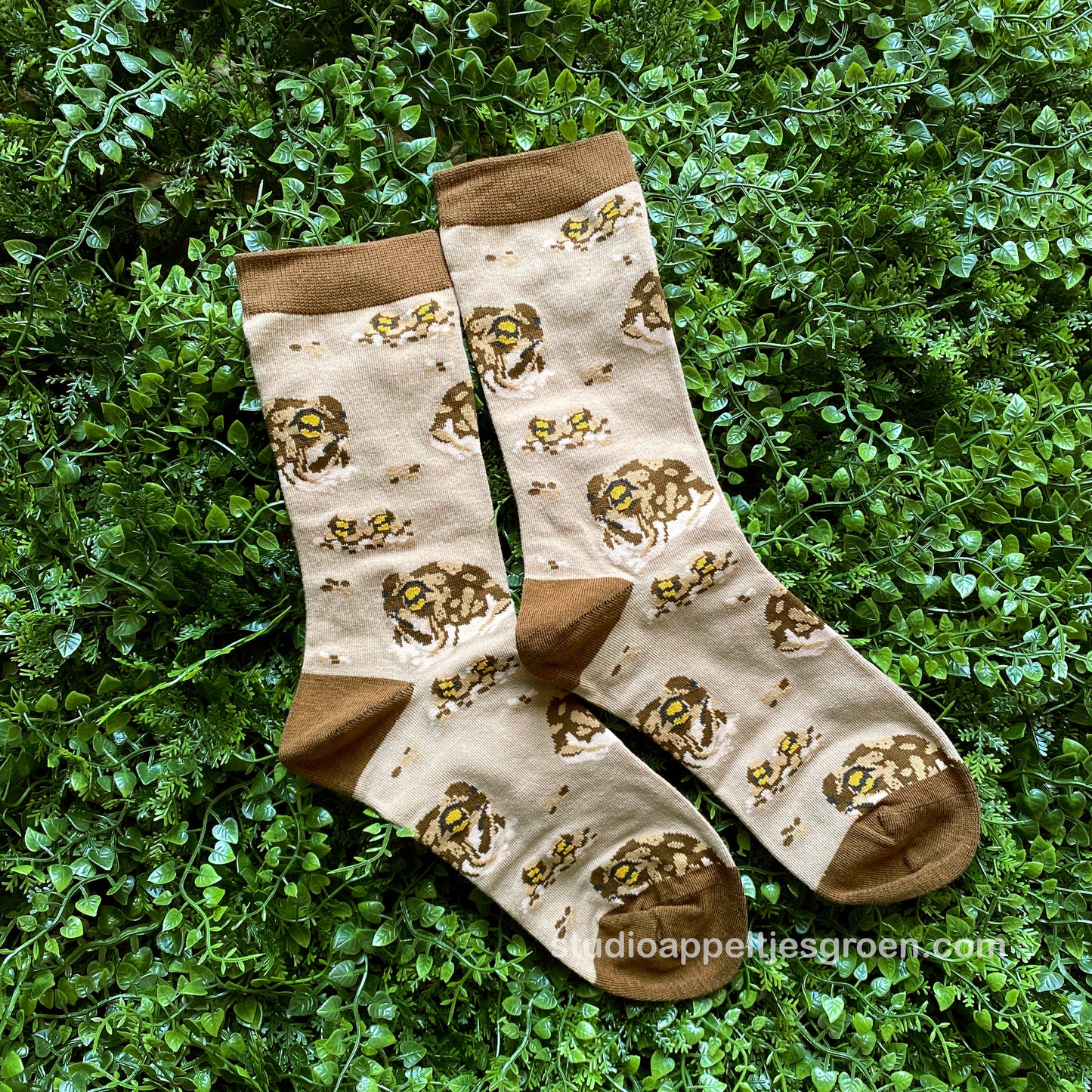 Socks | Desert rain frog