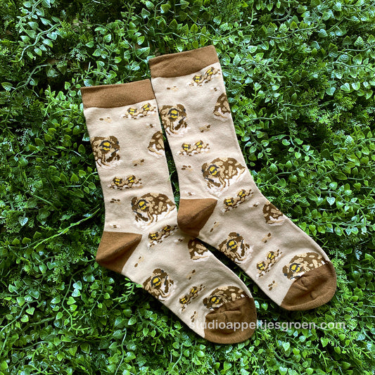 Socks | Desert rain frog