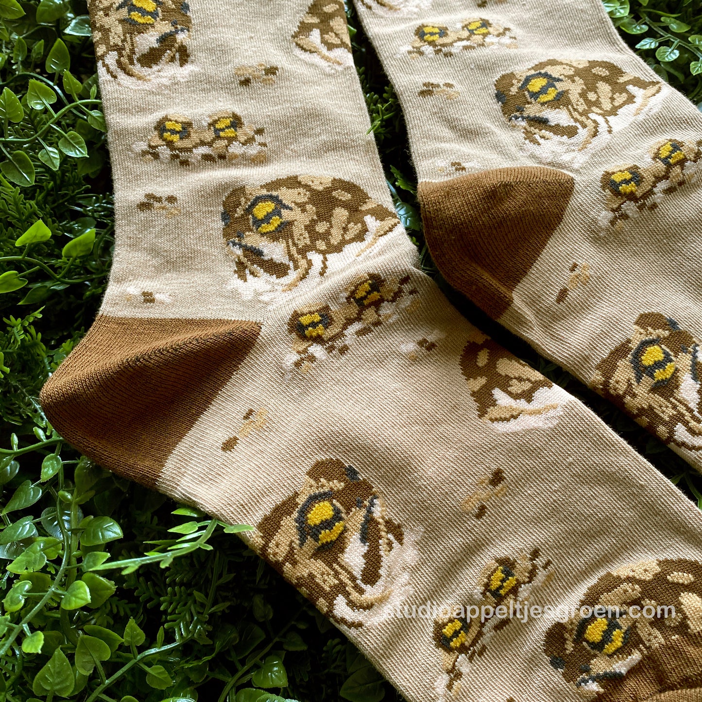 Socks | Desert rain frog