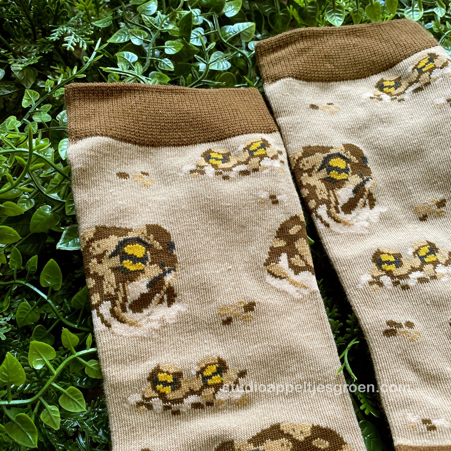 Socks | Desert rain frog
