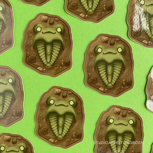 Floris the Frog | Fossil Vinyl Sticker