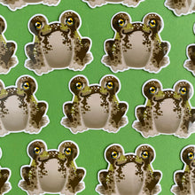 Load image into Gallery viewer, Floris the Frog | Desert rain frog Vinyl Sticker
