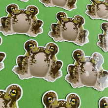 Load image into Gallery viewer, Floris the Frog | Desert rain frog Vinyl Sticker
