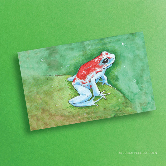 Postcard | Red speckled frog
