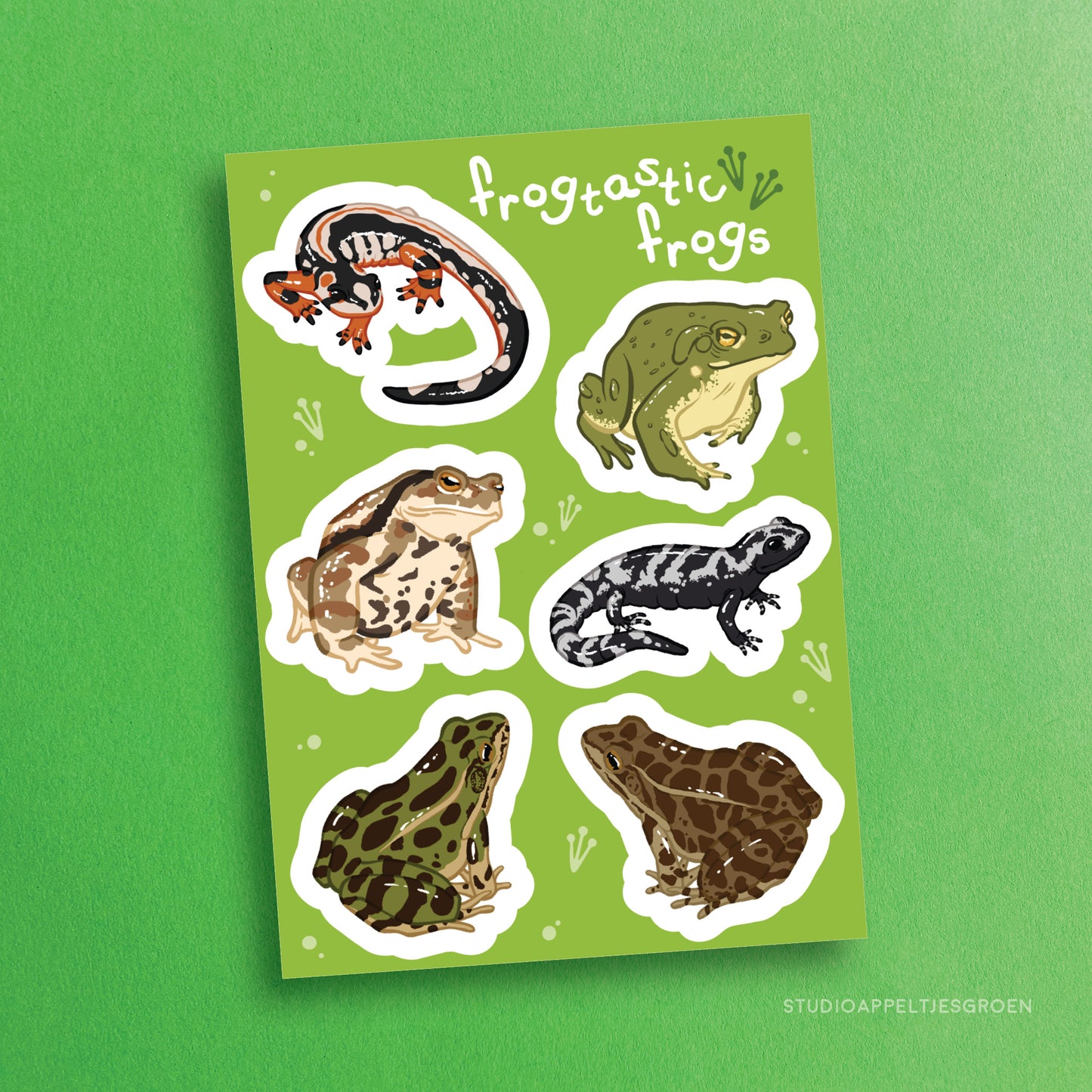 Sticker sheet | Northern leopard frog and friends