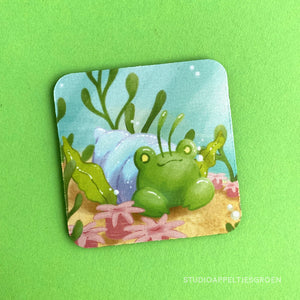 Floris the Frog | Hermite crab coaster
