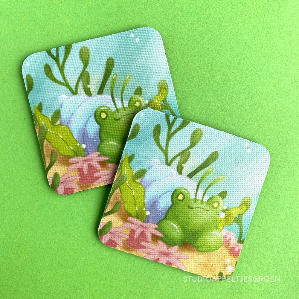 Coaster | Hermite crab frog