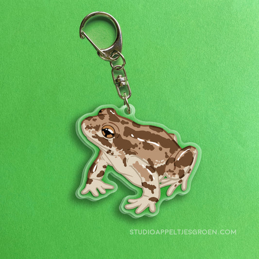 Acrylic charm | Illinois Chorus Frog
