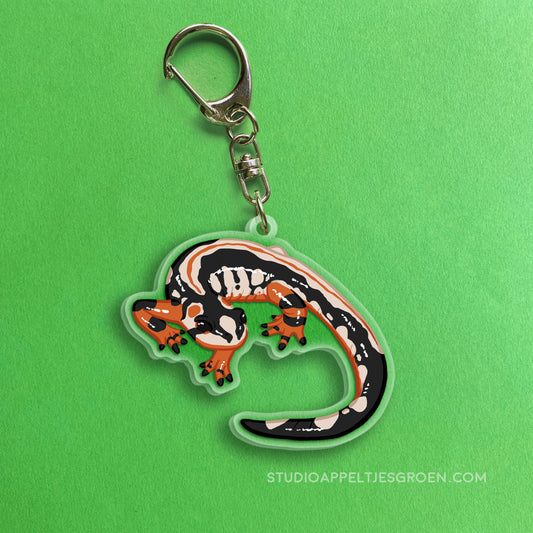 Acrylic charm | Luristan Newt