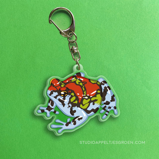Acrylic charm | Malagasy Rainbow Frog