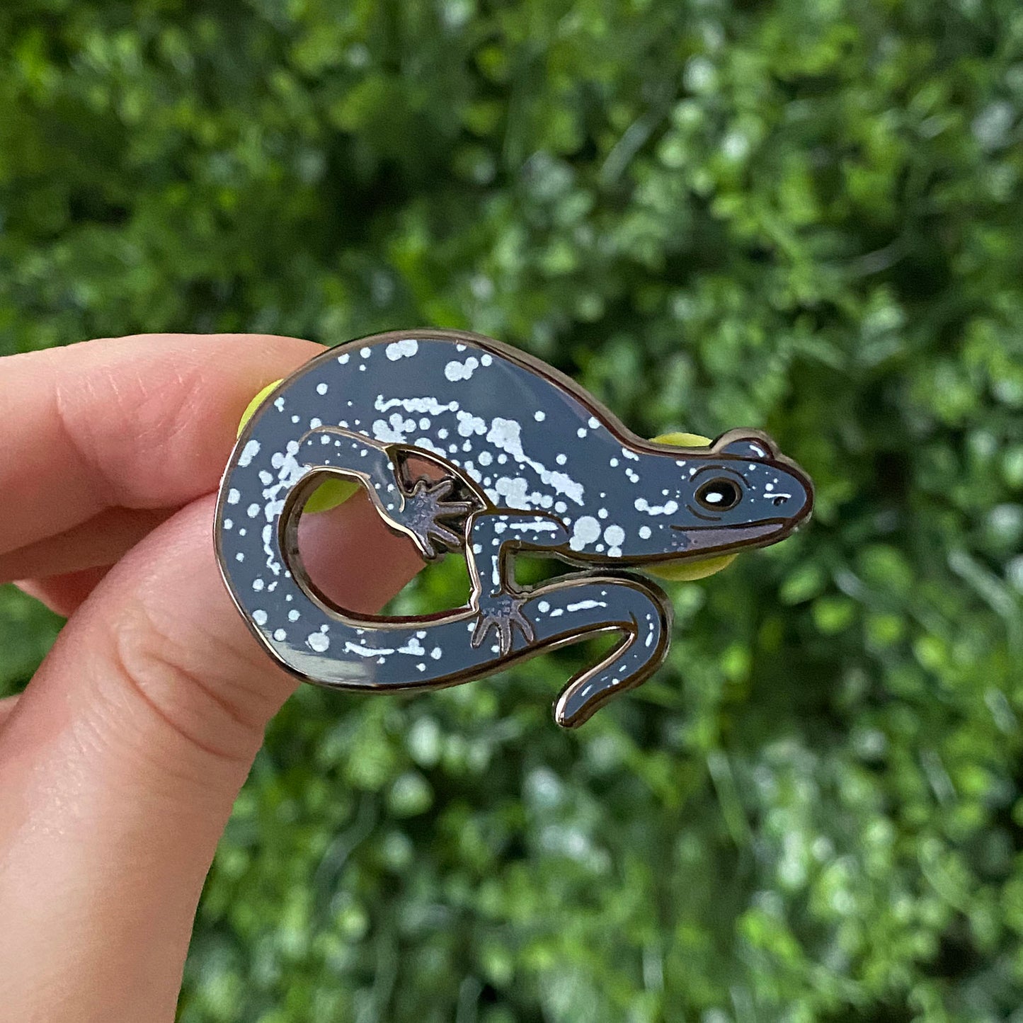 Enamel pin | Northern Slimy Salamander