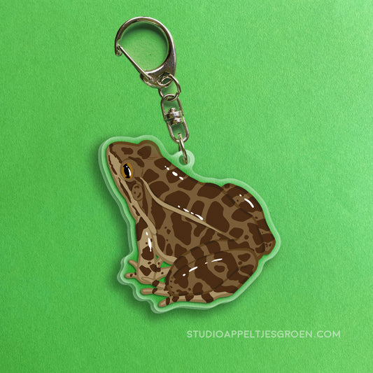 Acrylic charm | Pickerel Frog