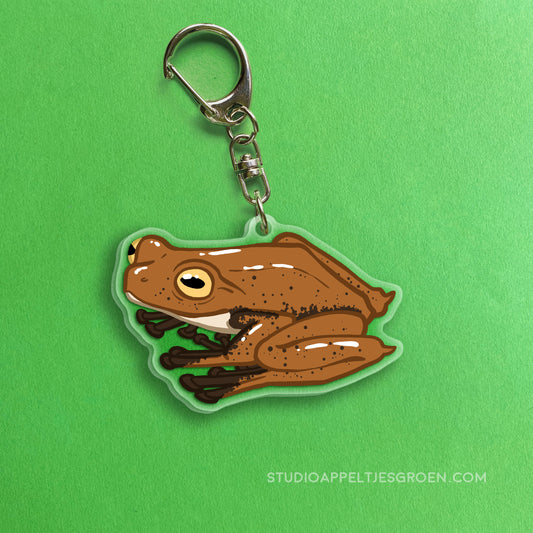 Acrylic charm | Vampire Flying Frog