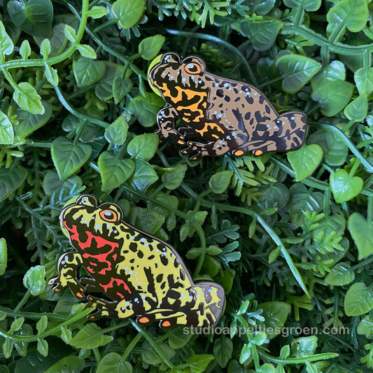 Enamel pin | European Fire-bellied toad
