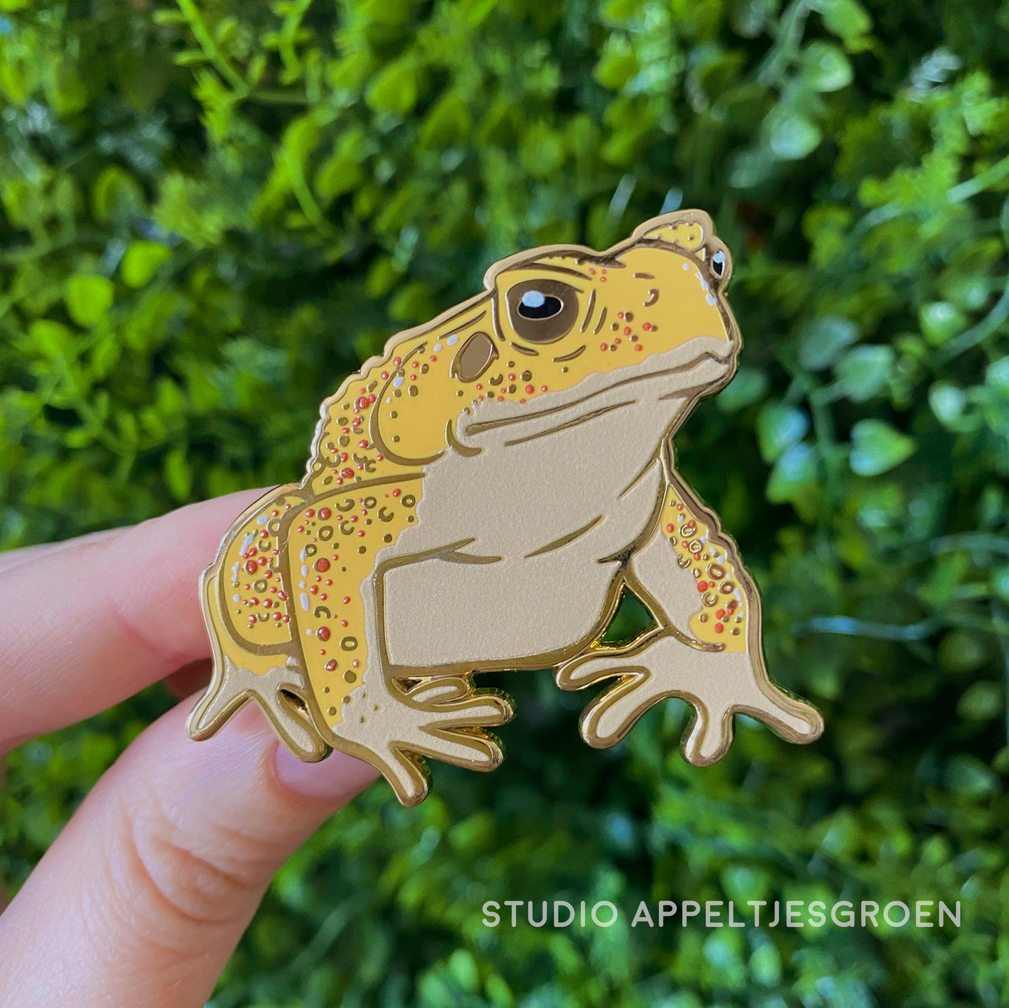 Enamel pin | Cane Toad