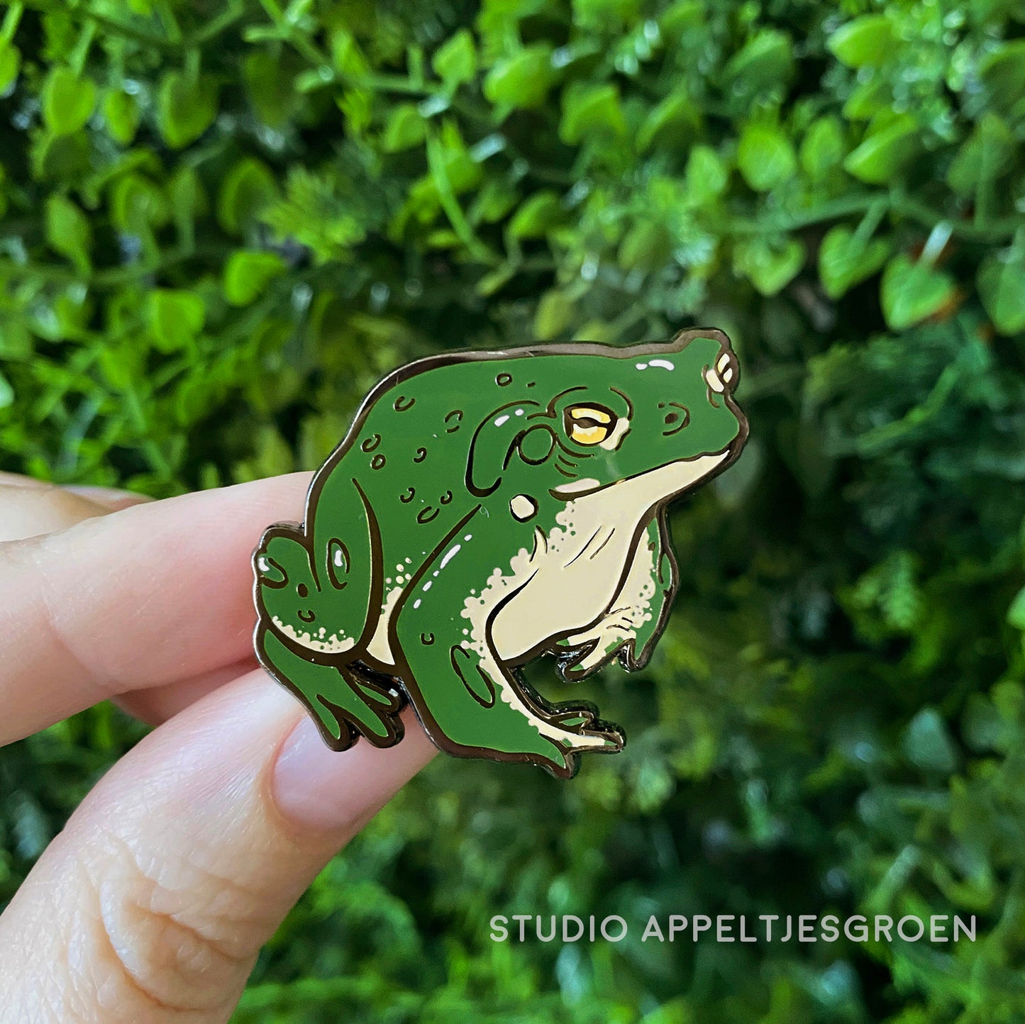 Enamel pin | Colorade River Toad