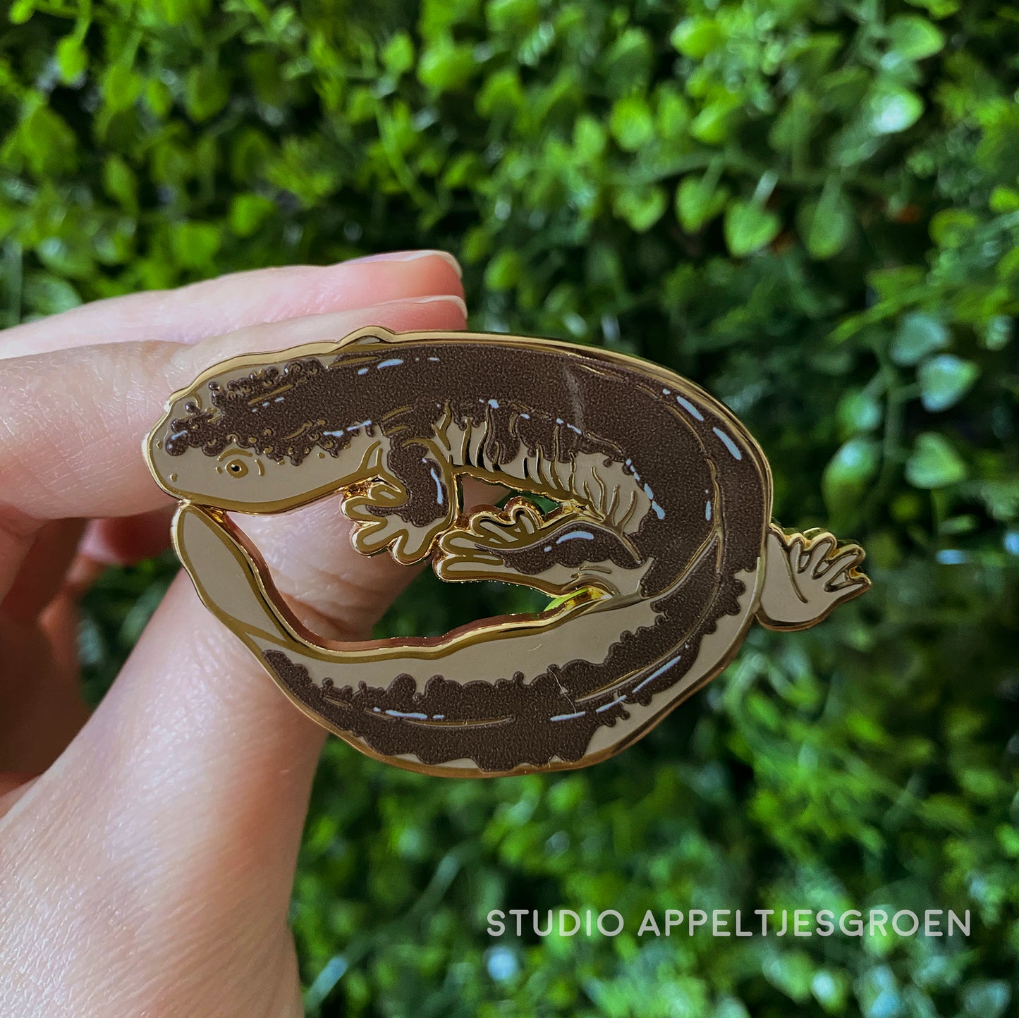 Enamel pin | Japanese Giant Salamander