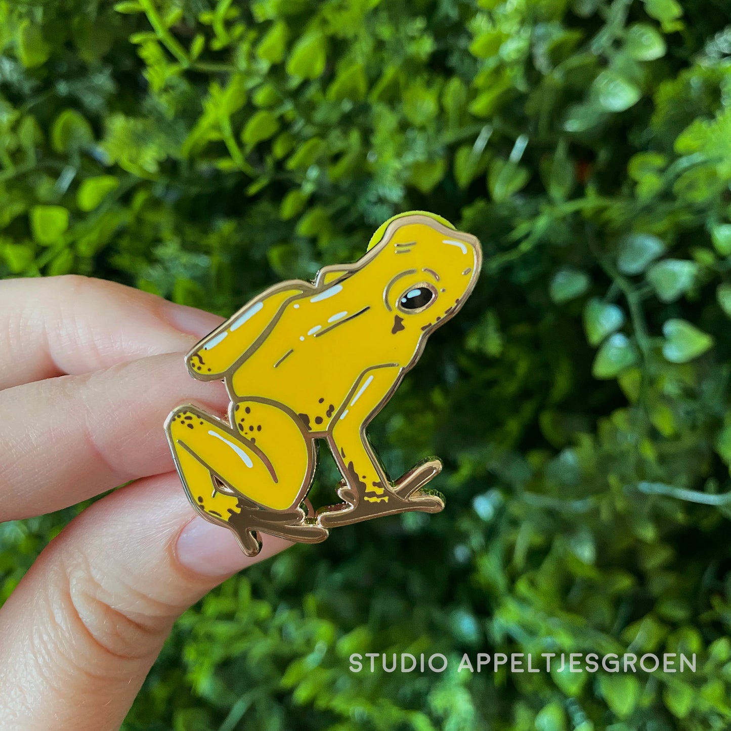 Enamel pin | Golden Poison Frog