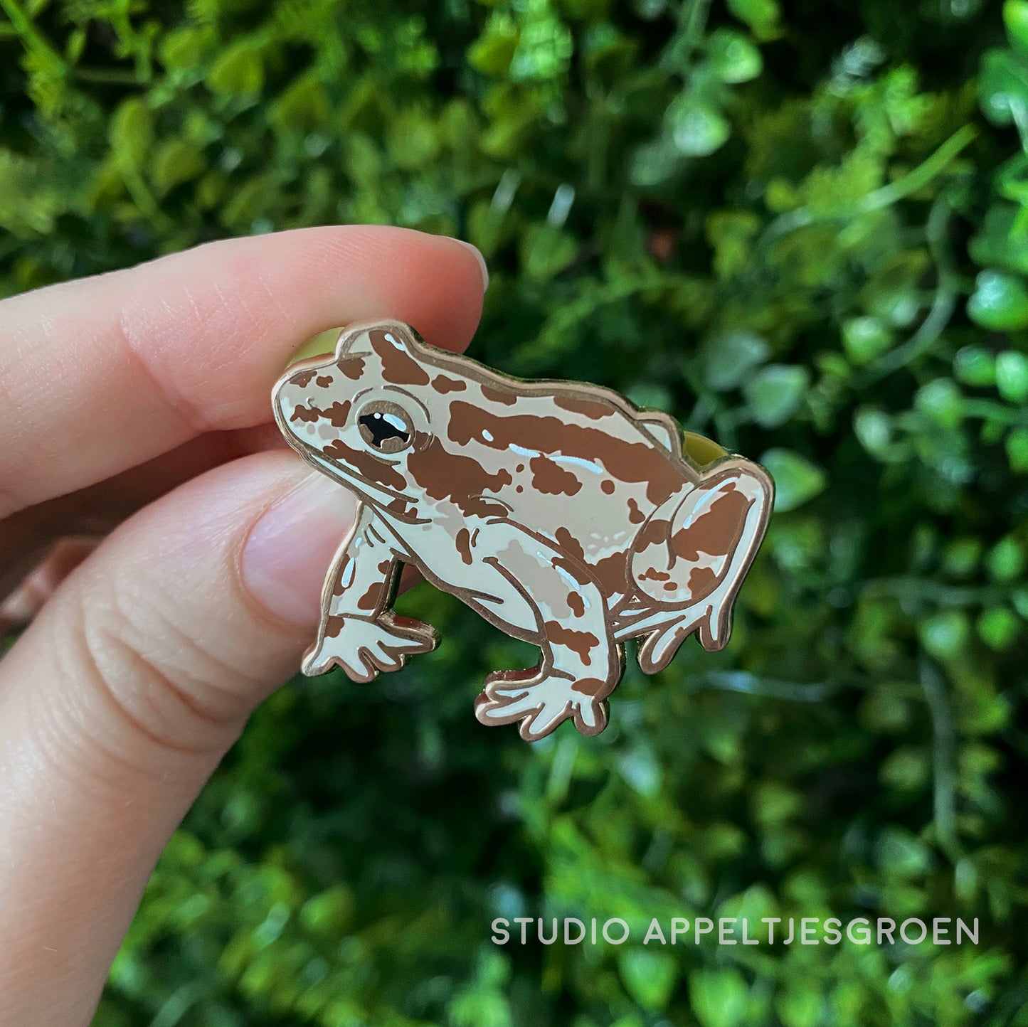 Enamel pin | Illinois Chorus Frog