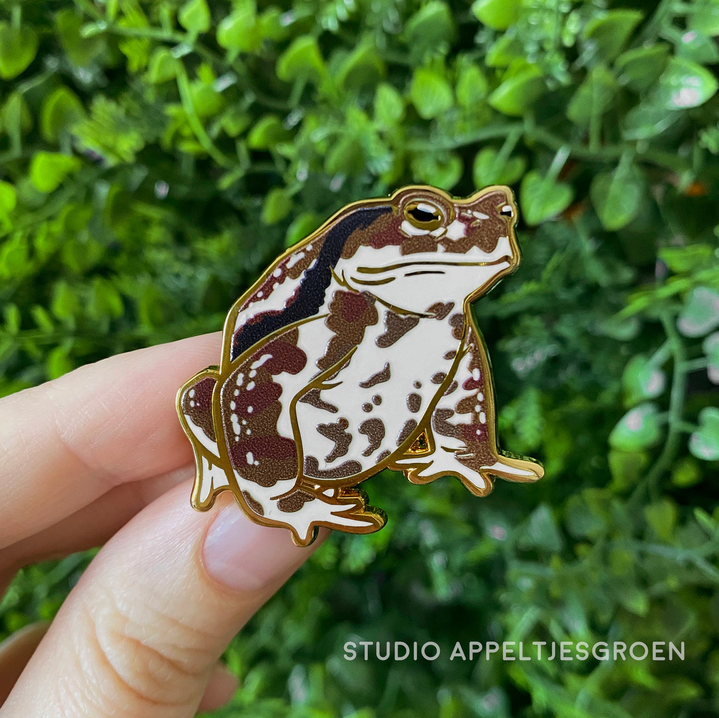 Enamel pin | Japanese Common Toad