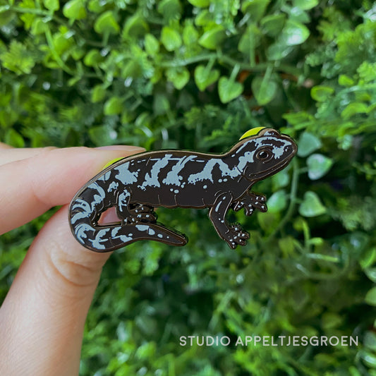 Enamel pin | Marbled Salamander