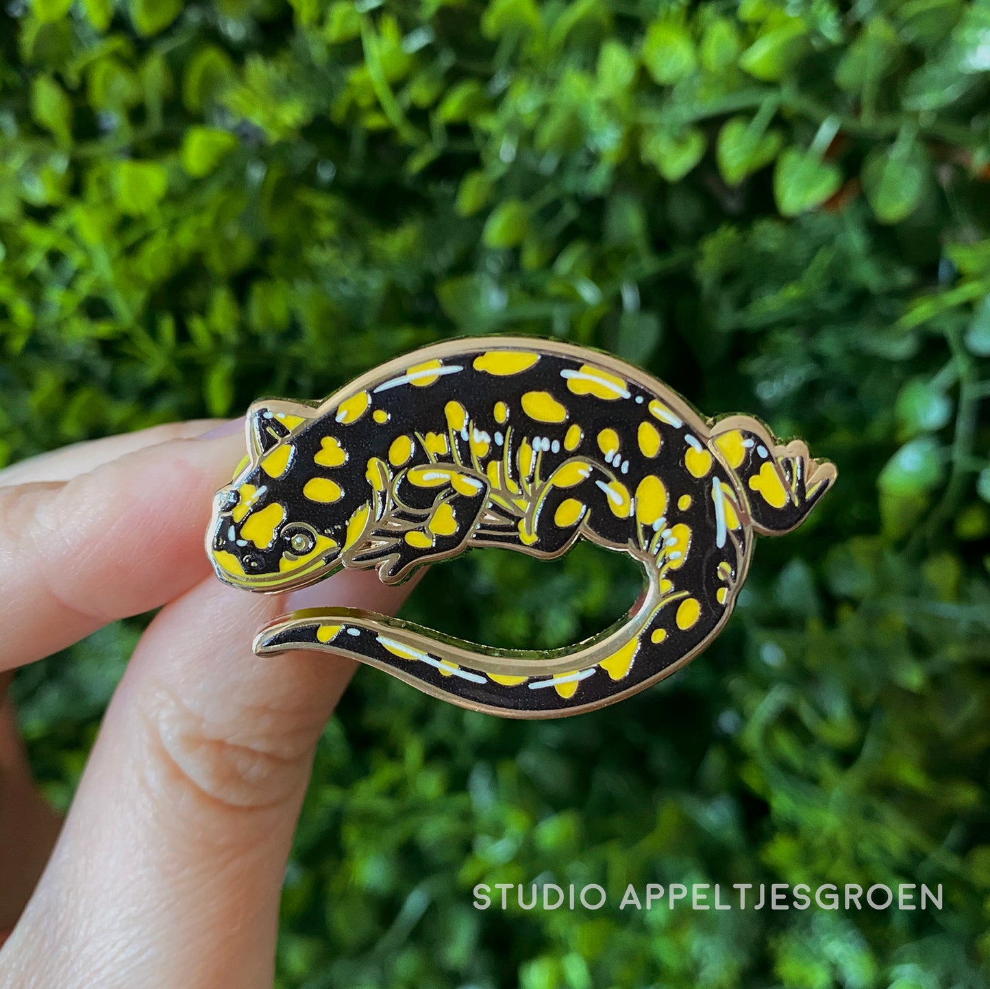 Enamel pin | Tiger Salamander