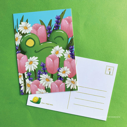 Postcard | Flower field frog