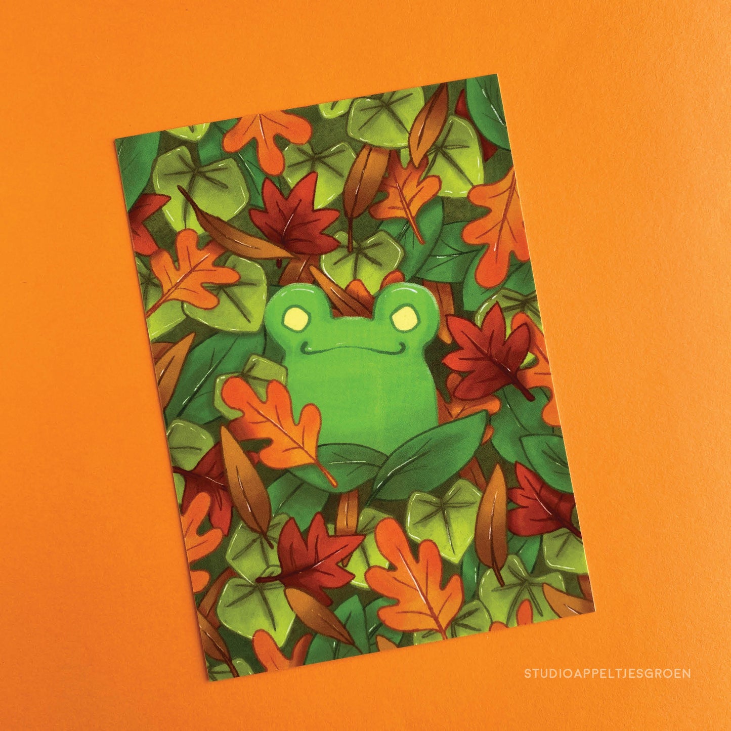 Ansichtkaart | Herfstbladeren kikker