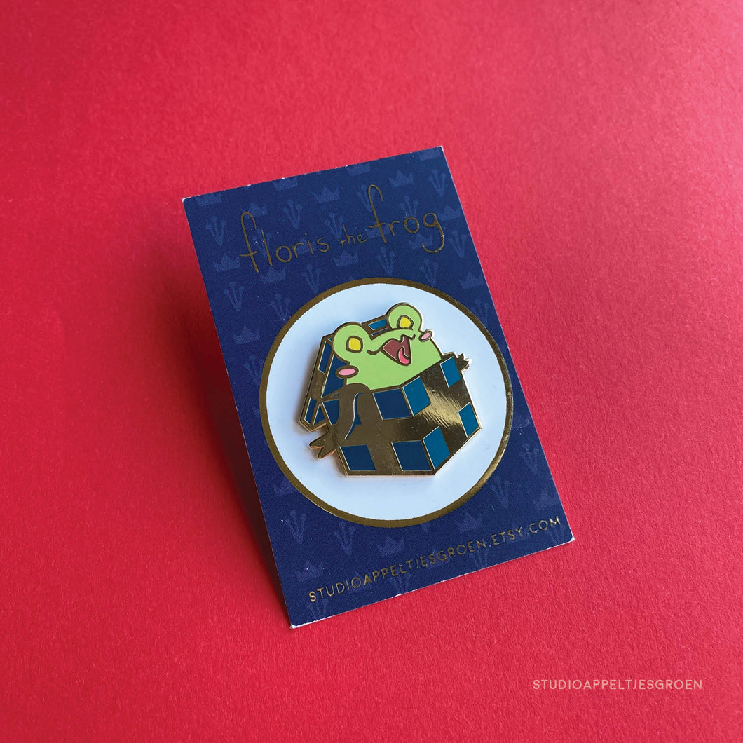 Floris the Frog |  Present pin